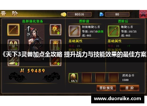 《天下3灵兽加点全攻略 提升战力与技能效果的最佳方案》